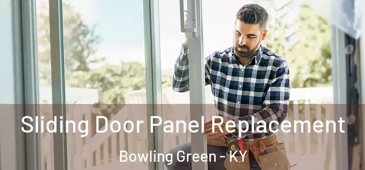  Sliding Door Panel Replacement Bowling Green - KY